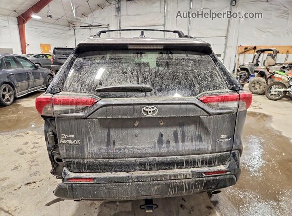 JTMAB3FV6SD236554 2025 TOYOTA RAV4 Серый Вид сзади