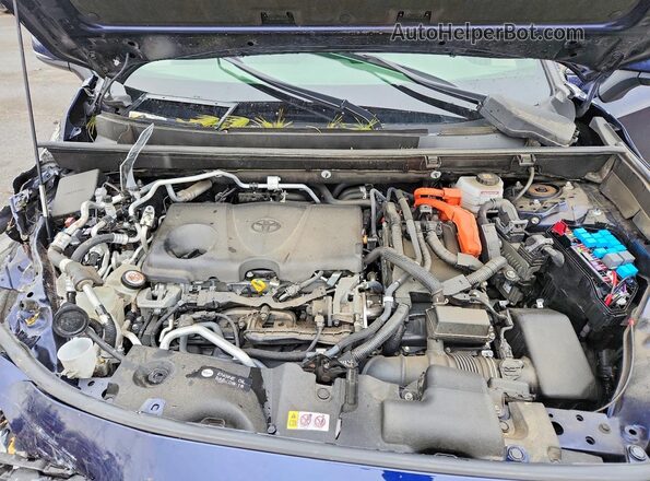 JTMAB3FV7MD017248 2021 TOYOTA RAV4 Синий Вид задней части салона