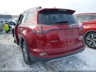 2018 Toyota Rav4 Limited Red vin: JTMDFREV6JD240544