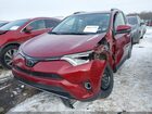 2018 Toyota Rav4 Limited Red vin: JTMDFREV6JD240544