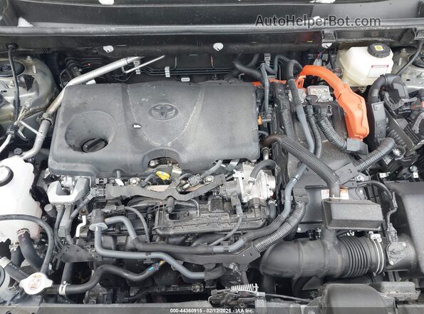 JTME6RFV0SD580258 2025 TOYOTA RAV4 HYBRID Gray Вид ззаду