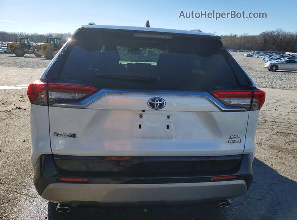 JTME6RFV5ND532033 2022 TOYOTA RAV4 Two Tone Вид ззаду