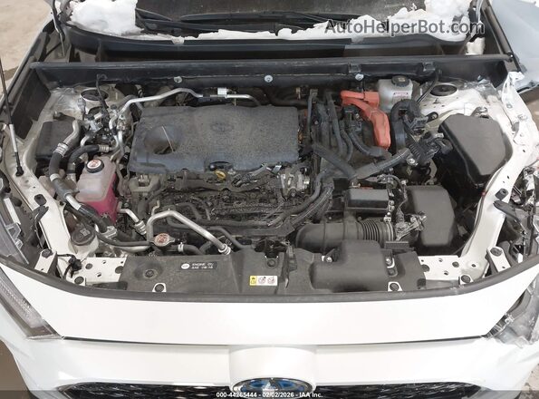 JTMEB3FV8RD204104 2024 TOYOTA RAV4 PRIME White Vista trasera