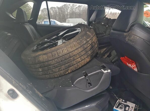 JTMEWRFV8LJ036710 2020 TOYOTA RAV4 Белый Вид задней части салона