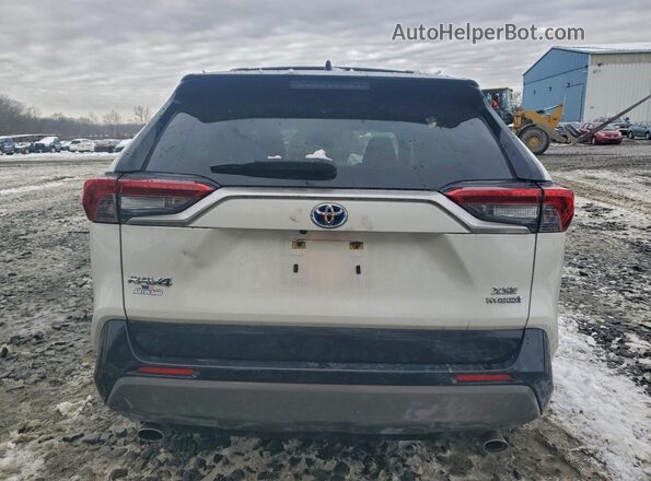 JTMEWRFV8LJ036710 2020 TOYOTA RAV4 Белый Вид сзади