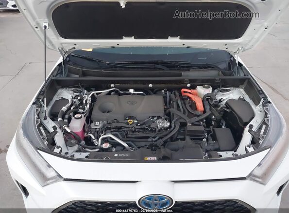 JTMFB3FV1RD230158 2024 TOYOTA RAV4 PRIME Белый Вид сзади