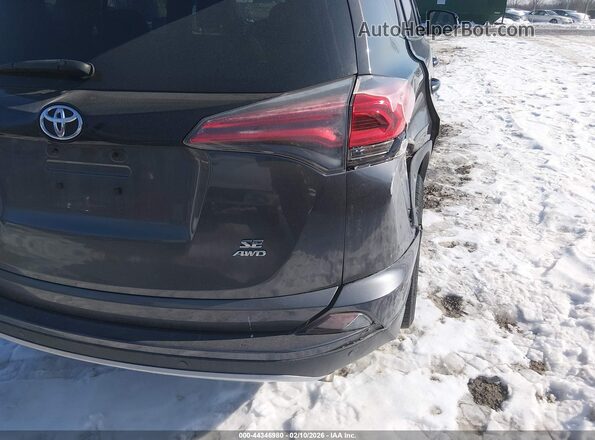 JTMJFREV6GD186867 2016 TOYOTA RAV4 Серый 