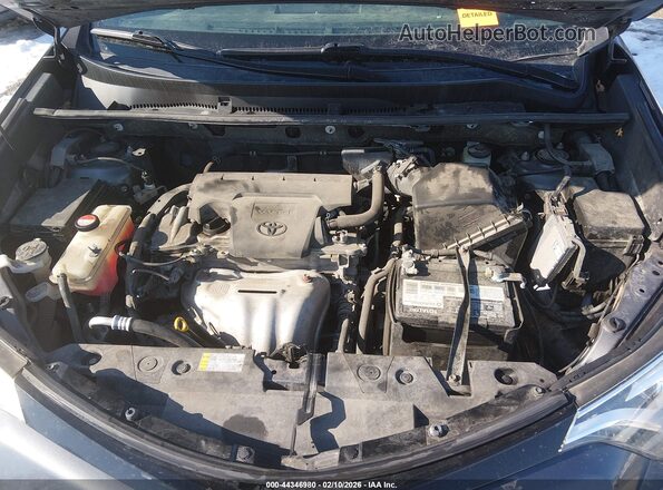 JTMJFREV6GD186867 2016 TOYOTA RAV4 Серый Вид сзади