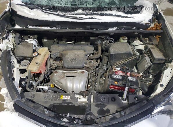 JTMRFREV1JD248878 2018 TOYOTA RAV4 Белый Вид подкапотного пространства