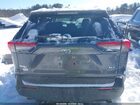2025 Toyota Rav4 Hybrid Xle Gray vin: JTMRWRFV7SD331859