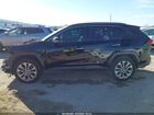 2019 Toyota Rav4 Limited Black vin: JTMY1RFV0KD514451