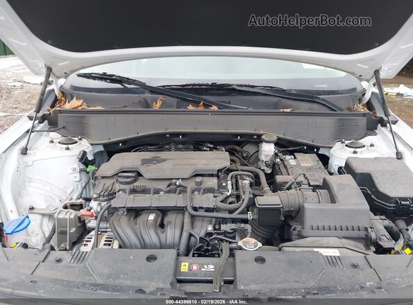 KM8HACAB3RU102637 2024 HYUNDAI KONA Белый Вид сзади