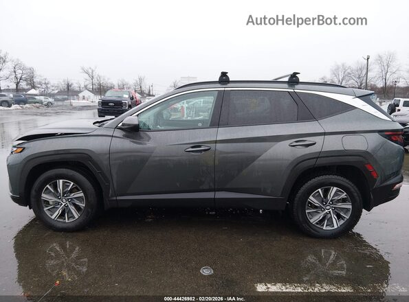 KM8JBCD1XRU206348 2024 HYUNDAI TUCSON HYBRID Gray Vista interior de 360 grados