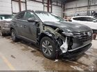 2024 Hyundai Tucson Hybrid Blue Gray vin: KM8JBCD1XRU221626
