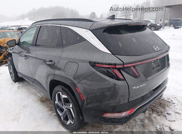 KM8JCCD15RU149795 2024 HYUNDAI TUCSON HYBRID Серый Задняя левая четверть