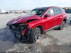 2025 Hyundai Tucson Hybrid Sel Convenience Красный vin: KM8JCDD16SU296848
