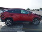 2025 Hyundai Tucson Hybrid Sel Convenience Красный vin: KM8JCDD16SU296848
