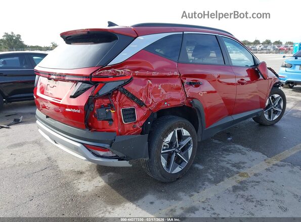 KM8JCDD16SU296848 2025 HYUNDAI TUCSON HYBRID Красный Задняя правая четверть