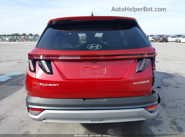 KM8JCDD16SU296848 2025 HYUNDAI TUCSON HYBRID Красный 