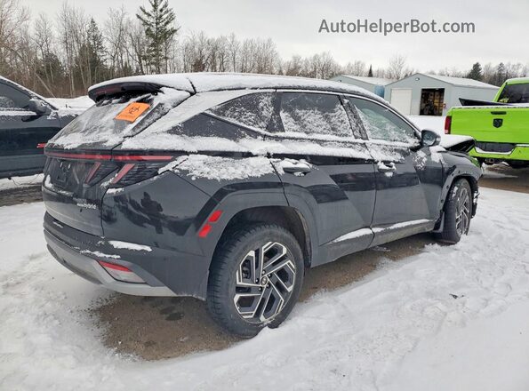 KM8JCDD19TU411086 2026 HYUNDAI TUCSON Черный Задняя правая четверть