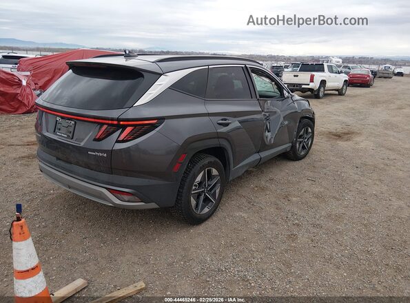 KM8JCDD1XSU302974 2025 HYUNDAI TUCSON HYBRID Серый Задняя правая четверть