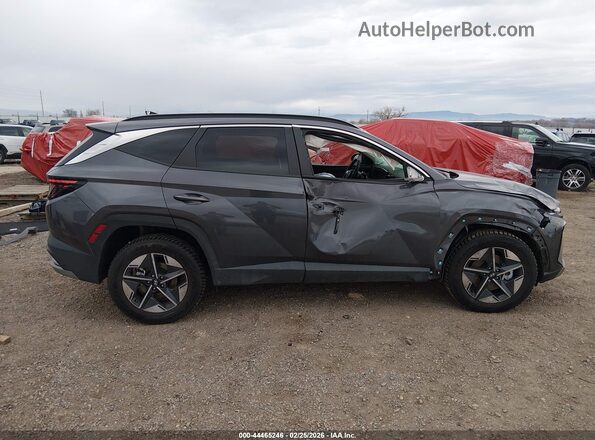 KM8JCDD1XSU302974 2025 HYUNDAI TUCSON HYBRID Серый Панорамный вид салона 360°