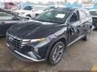 2023 Hyundai Tucson Hybrid Sel Convenience Dark Blue vin: KM8JFCA15PU087355