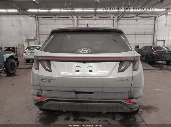 KM8JFCA1XPU121998 2023 HYUNDAI TUCSON HYBRID Серый 