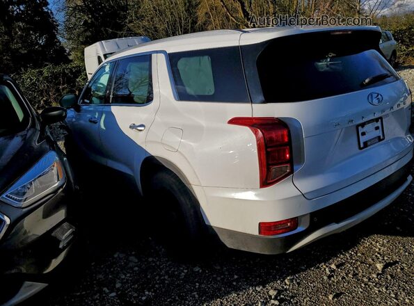 KM8R3DHE7LU041904 2020 HYUNDAI PALISADE Белый Задняя левая четверть