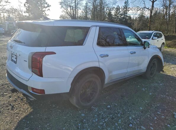 KM8R3DHE7LU041904 2020 HYUNDAI PALISADE Белый Задняя правая четверть