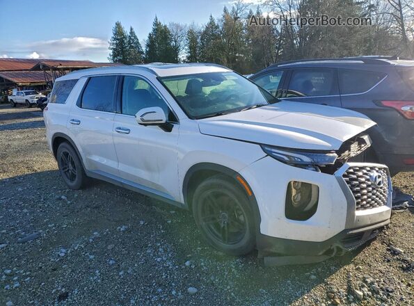 KM8R3DHE7LU041904 2020 HYUNDAI PALISADE Белый Передняя правая четверть