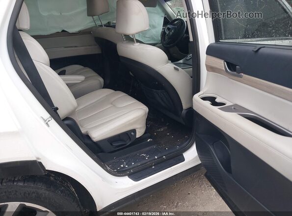KM8R4DHE3MU302282 2021 HYUNDAI PALISADE White Widok naklejki z numerem VIN