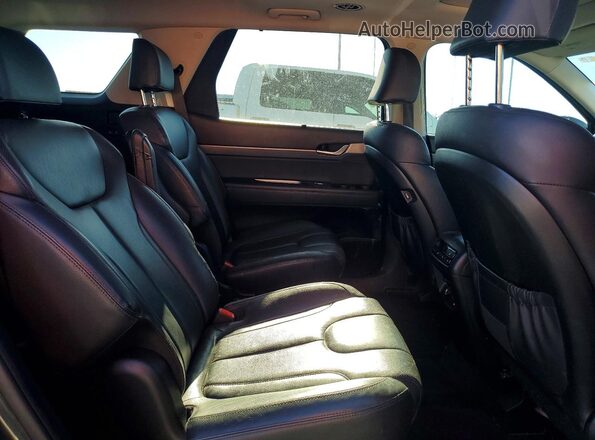 KM8R4DHE9LU084606 2020 HYUNDAI PALISADE Серый Вид задней части салона