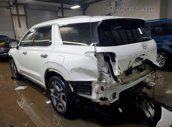KM8R5DGE9PU569249 2023 HYUNDAI PALISADE White Tył lewy