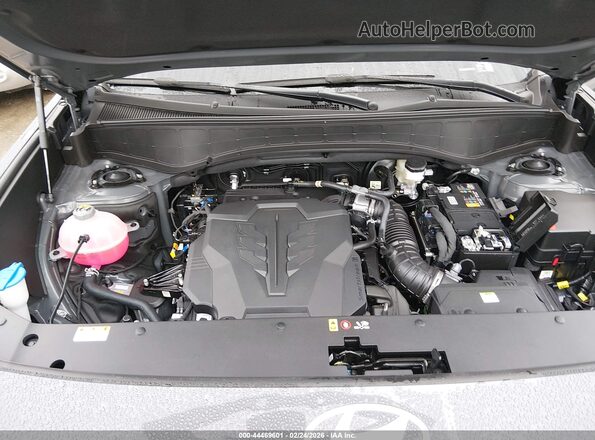 KM8RNES27TU081401 2026 HYUNDAI PALISADE Gray Widok z tyłu