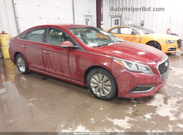 KMHE24L14GA011031 2016 HYUNDAI SONATA HYBRID Красный Передняя правая четверть
