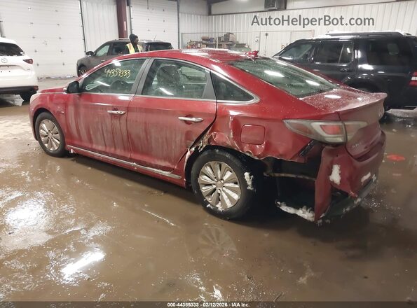 KMHE24L14GA011031 2016 HYUNDAI SONATA HYBRID Красный Задняя левая четверть