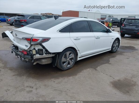 KMHE34L12HA056015 2017 HYUNDAI SONATA HYBRID White Tył prawy