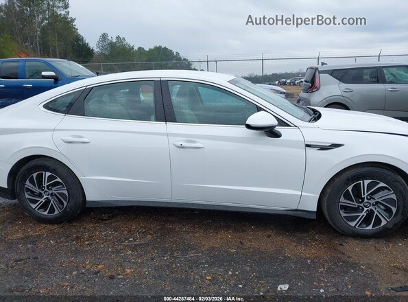 KMHL24JJ4TA138043 2026 HYUNDAI SONATA HYBRID White Widok wnętrza z tyłu