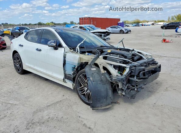KNAE55LC2P6130053 2023 KIA STINGER Белый Вид спереди