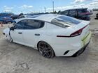 2023 Kia Stinger Gt2 Белый vin: KNAE55LC2P6130053