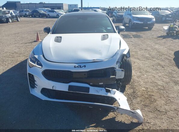 KNAE55LC3P6127310 2023 KIA STINGER Белый Вид задней части салона