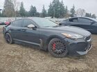2019 Kia Stinger Gt2 Черный vin: KNAE55LC8K6043072