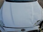 2016 Kia Cadenza Luxury Белый vin: KNALN4D76G5209511