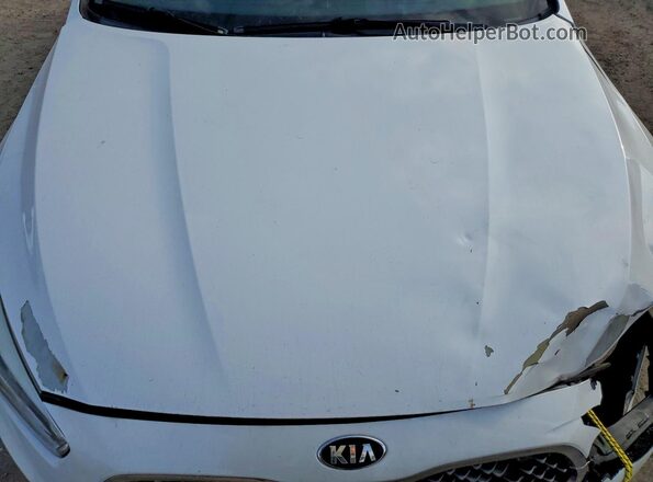 KNALN4D76G5209511 2016 KIA CADENZA Белый Вид задней части салона