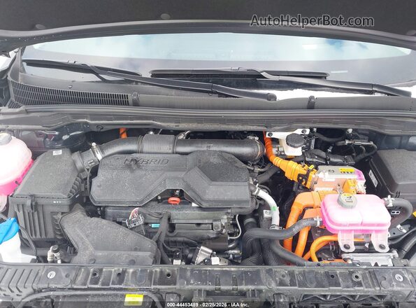 KNDNE5KA5S6047339 2025 KIA CARNIVAL MPV HYBRID Серый Вид сзади