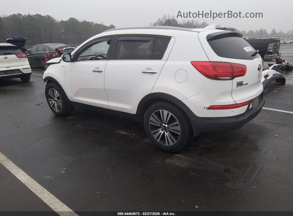 KNDPCCAC6G7864388 2016 KIA SPORTAGE White უკანა მარცხენა