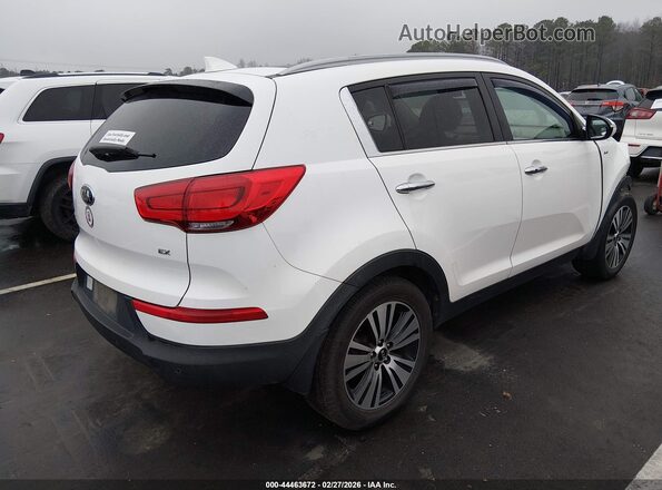 KNDPCCAC6G7864388 2016 KIA SPORTAGE White უკანა მარჯვენა