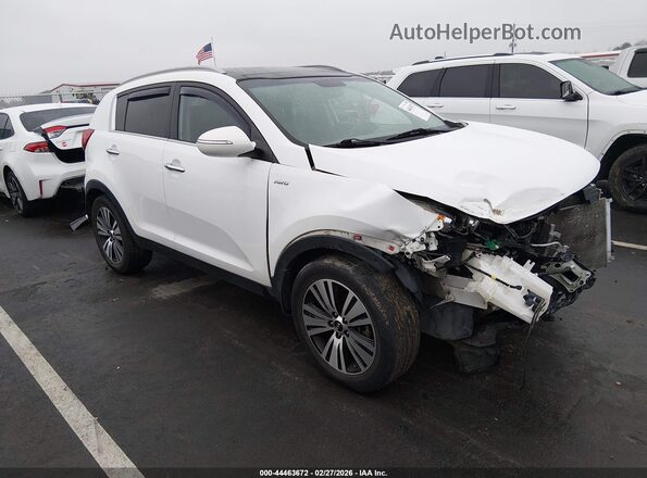 KNDPCCAC6G7864388 2016 KIA SPORTAGE White წინა მარჯვენა