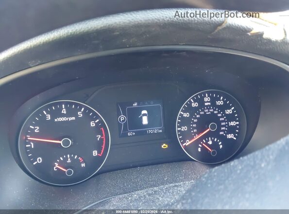 KNDPM3AC0K7491256 2019 KIA SPORTAGE Light Blue Вид задніх сидінь